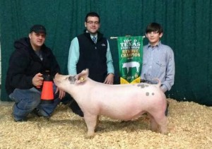 Reserve Champion Top of Texas600